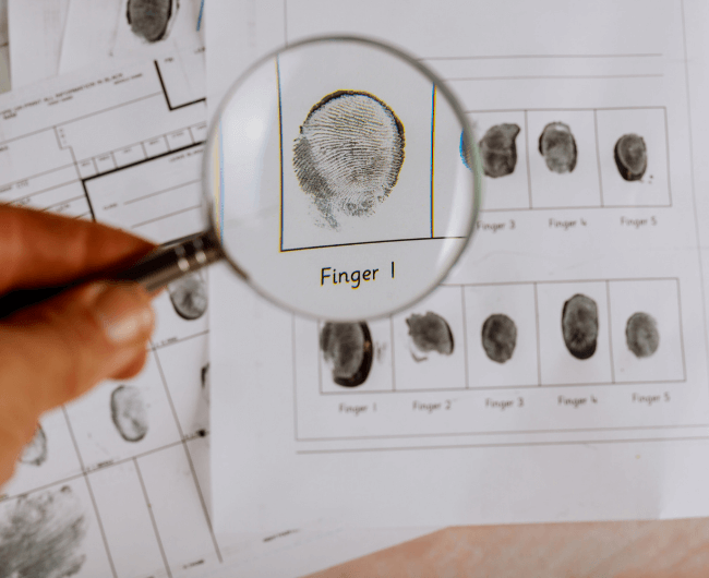 Filtros de seguridad de agencia doméstica